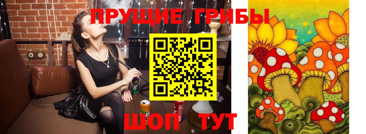 где продают   Псилоцибиновые грибы Psilocybine cubensis  Вход с VPN  Ижевск 
